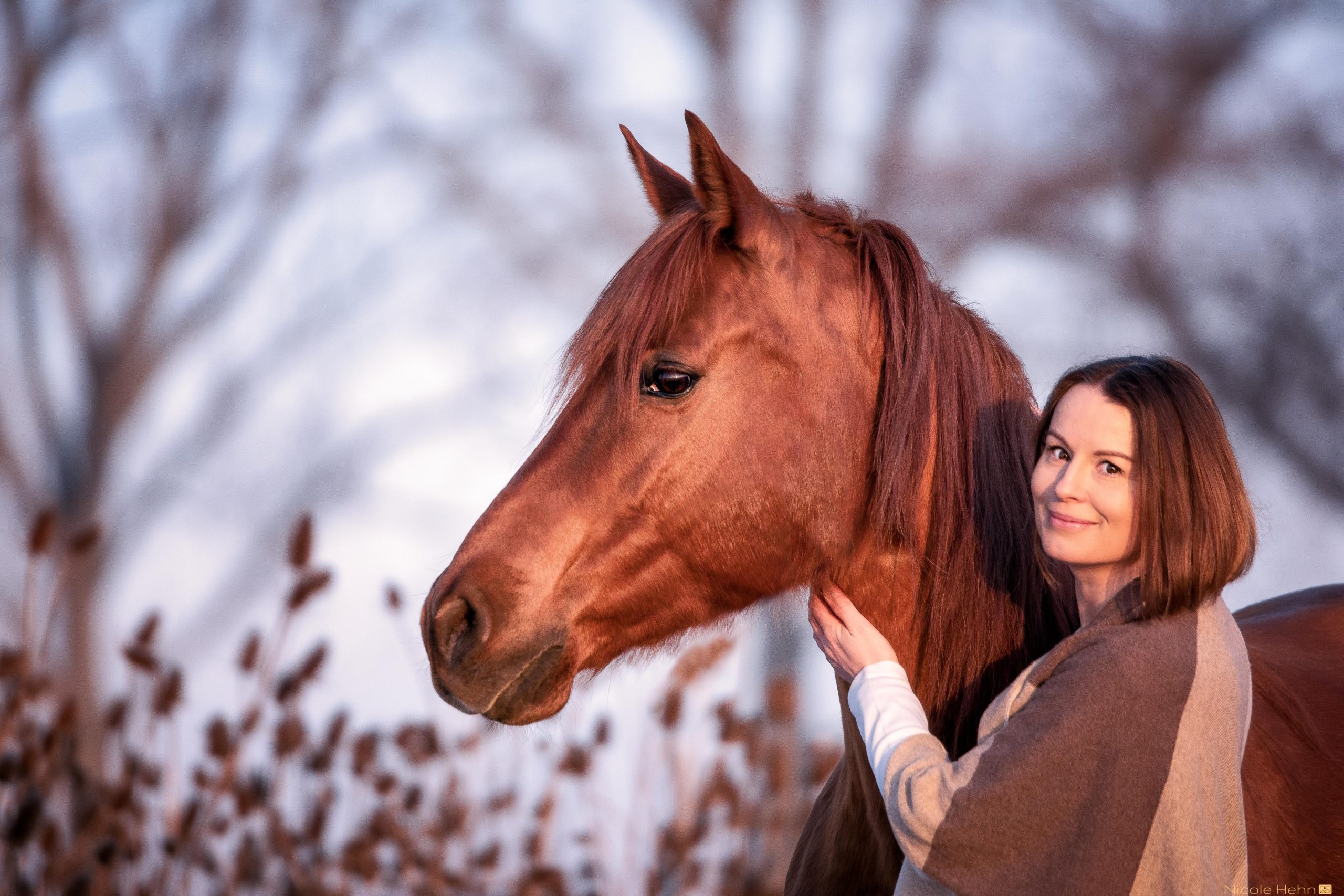 Ich und mein Pferd